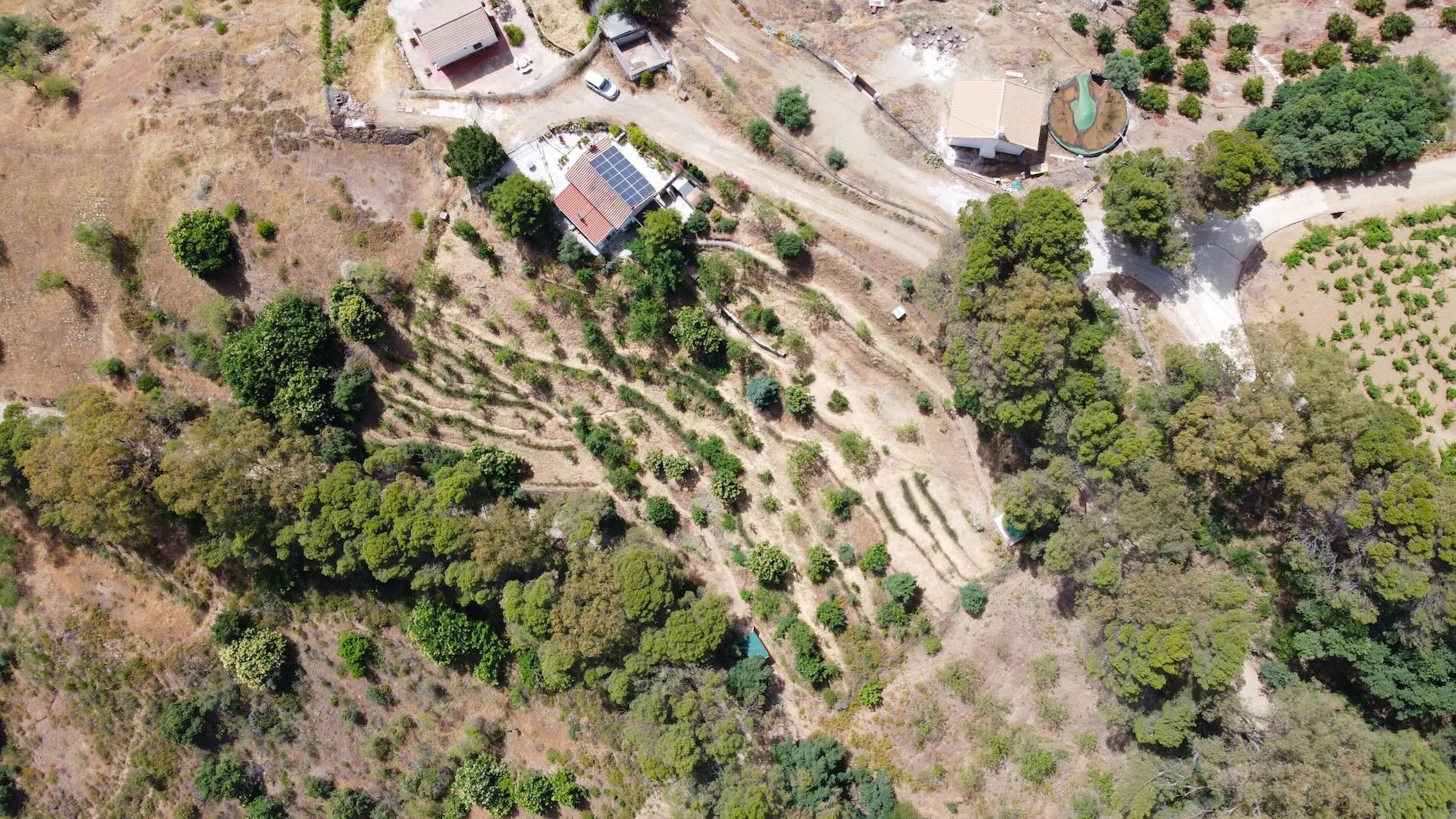 Drone photo